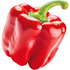 Bell pepper
